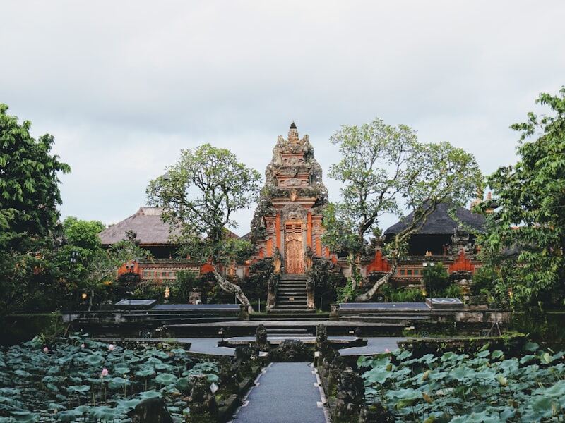 Ubud rice terraces and jungle landscape — luxury villa rentals in Bali's cultural heartland