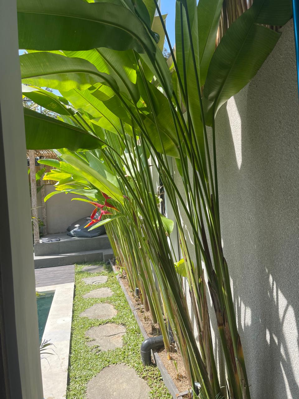 Luxe 2BR Garden Villa | Private Pool Access 7