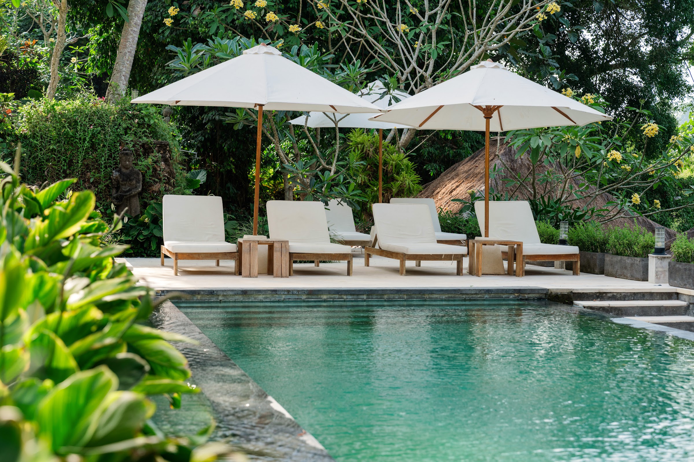 Atma House of Wellness 105