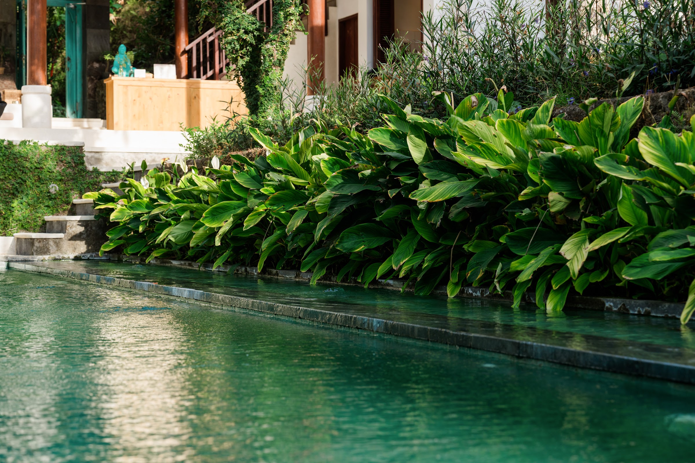 Atma House of Wellness 112