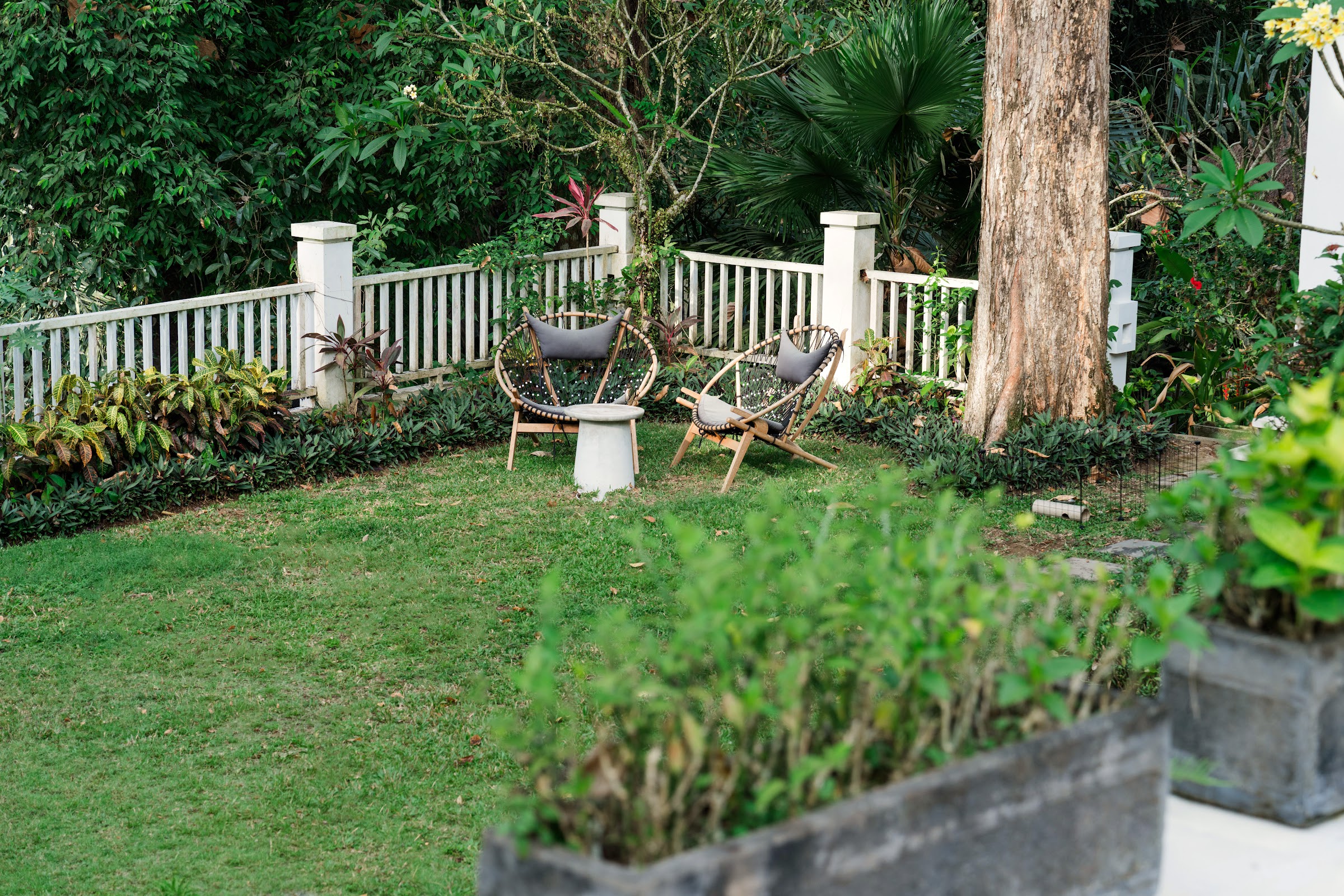 Atma House of Wellness 113