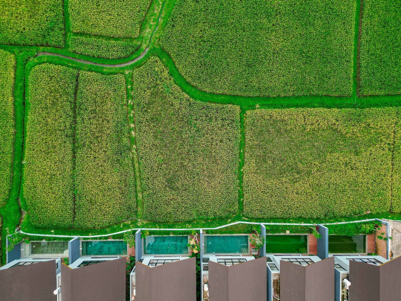 Private 2BR Oasis, Pool & Ubud Rice Field Edge 26