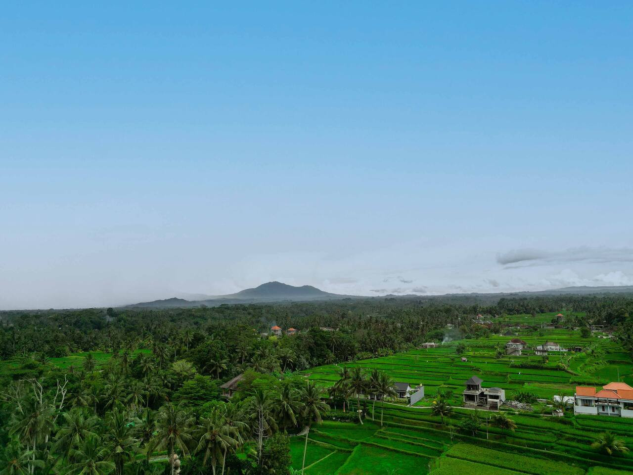 Private 2BR Oasis, Pool & Ubud Rice Field Edge 27