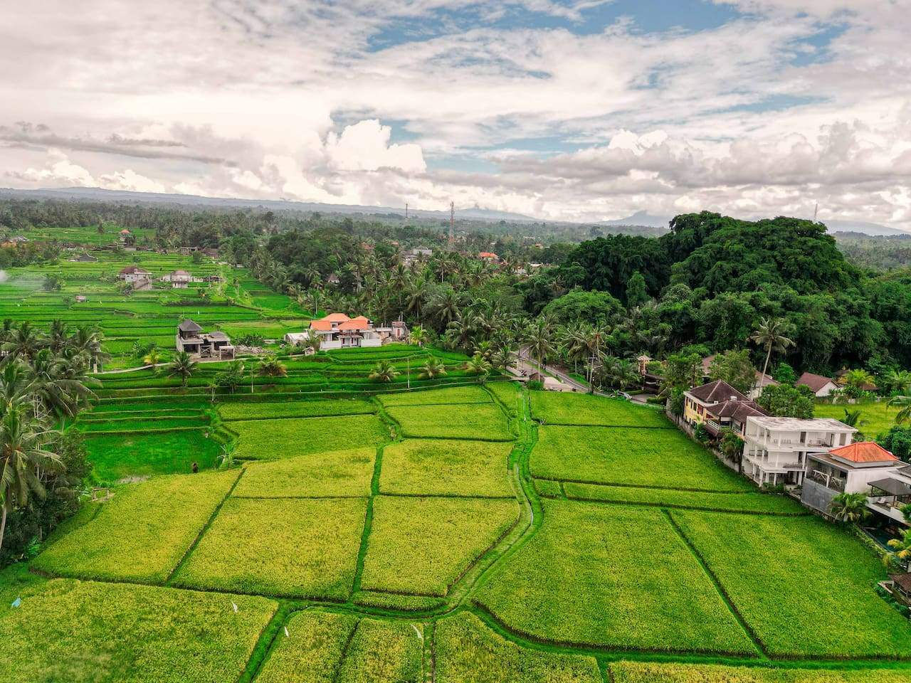 Private 2BR Oasis, Pool & Ubud Rice Field Edge 28
