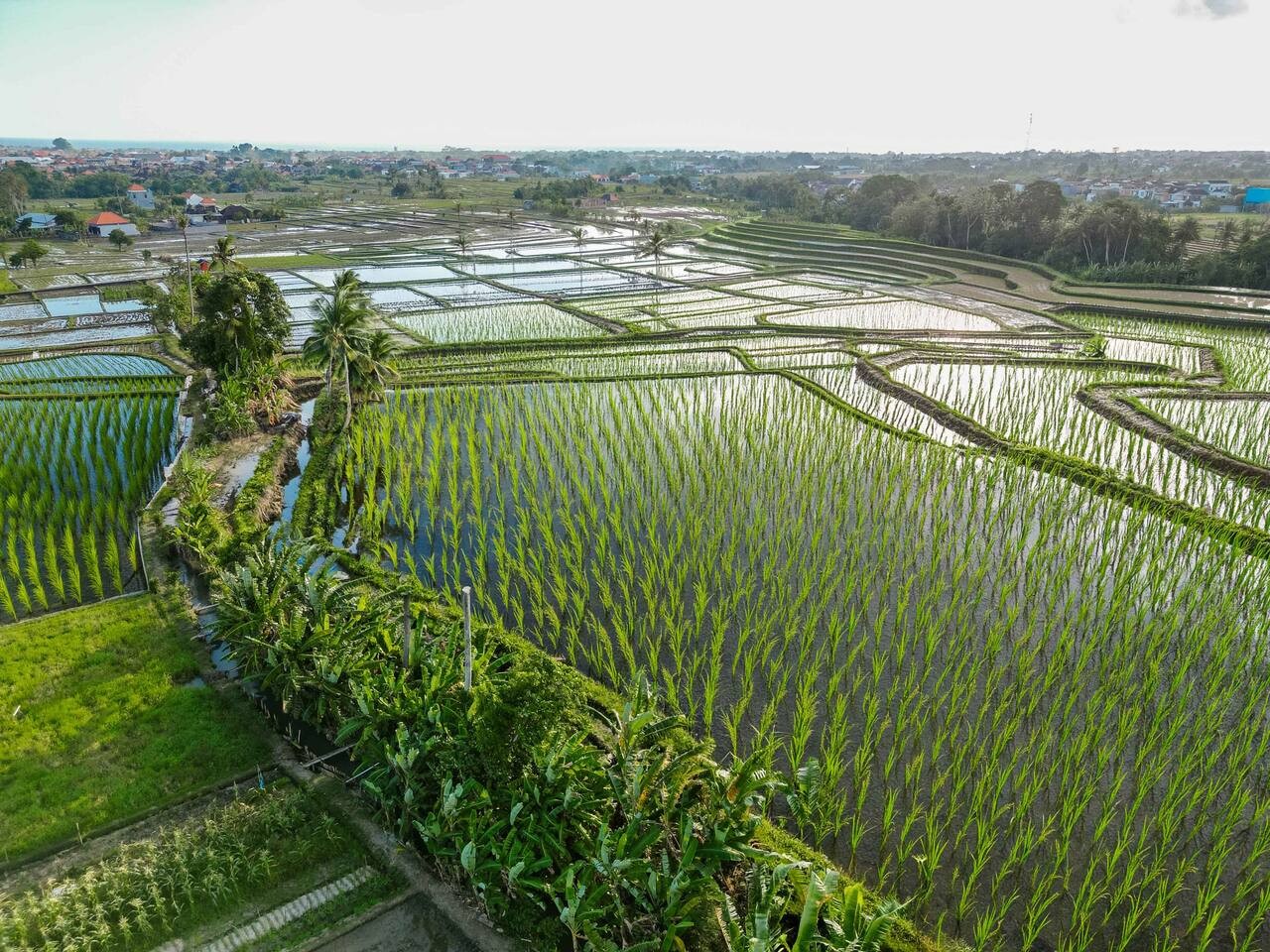 Modern 3BR Villa with Breathtaking Ricefield View 87
