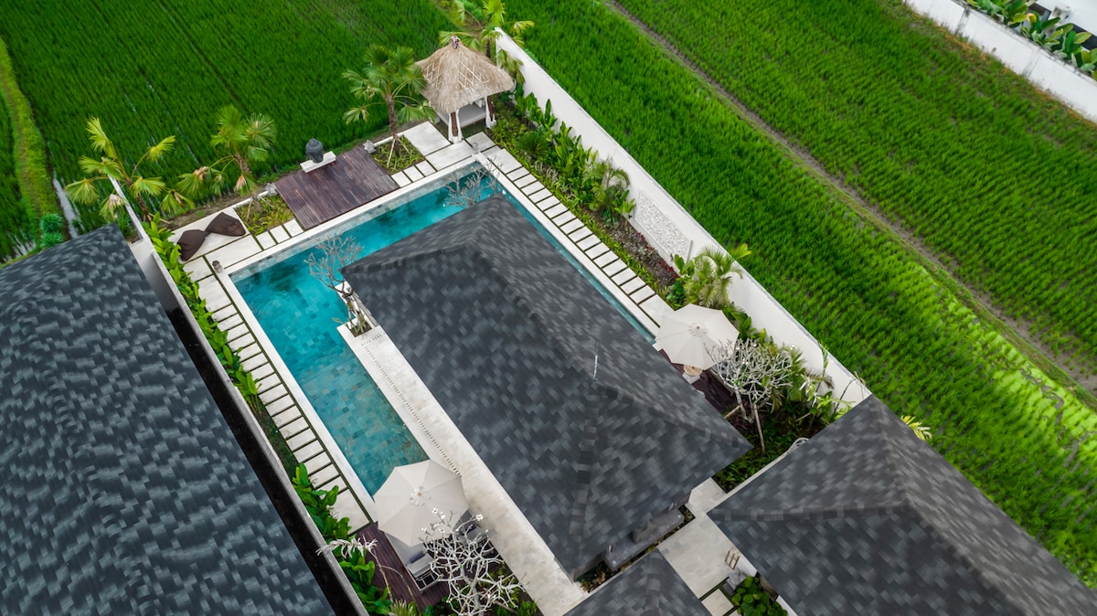 Reva 2BR Enchanted Rice Grove Villa w/InfinityPool 27
