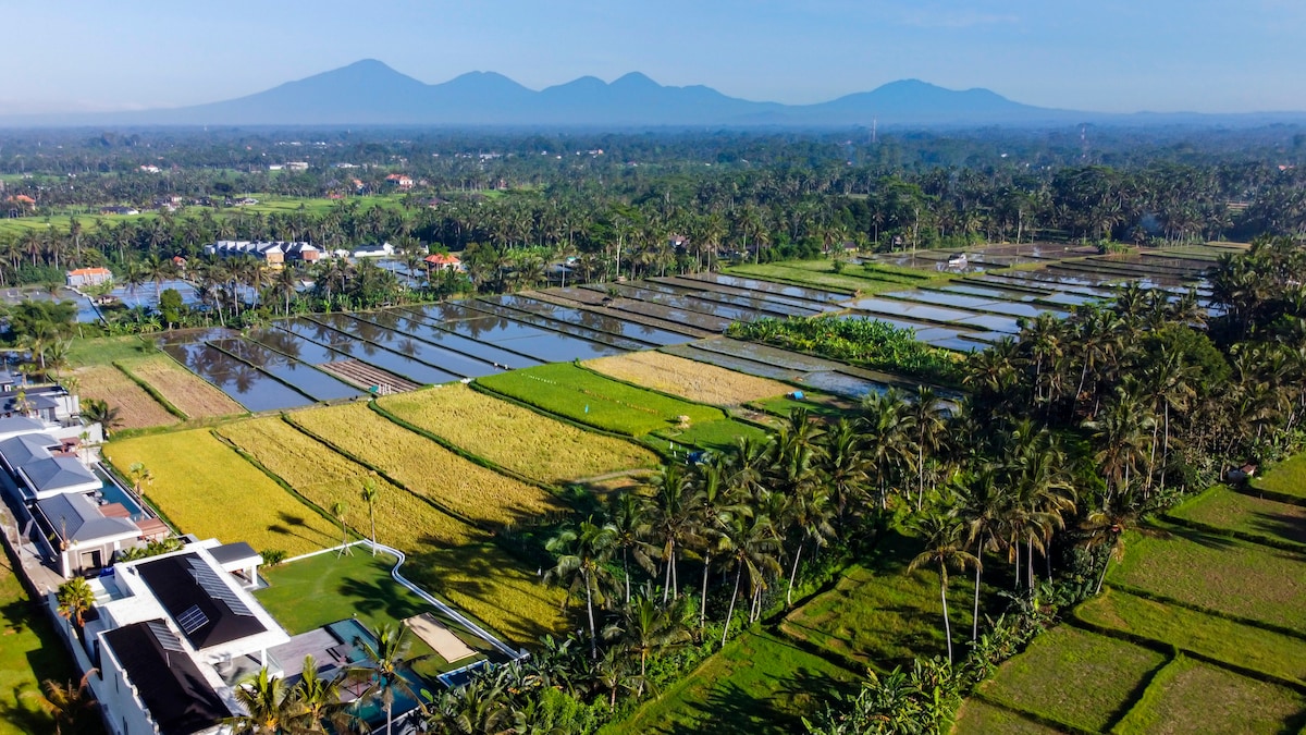 Veni Vidi Vici with Sports Facilities & Spectacular View 101