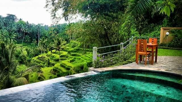 Villa Wedang Tea 25