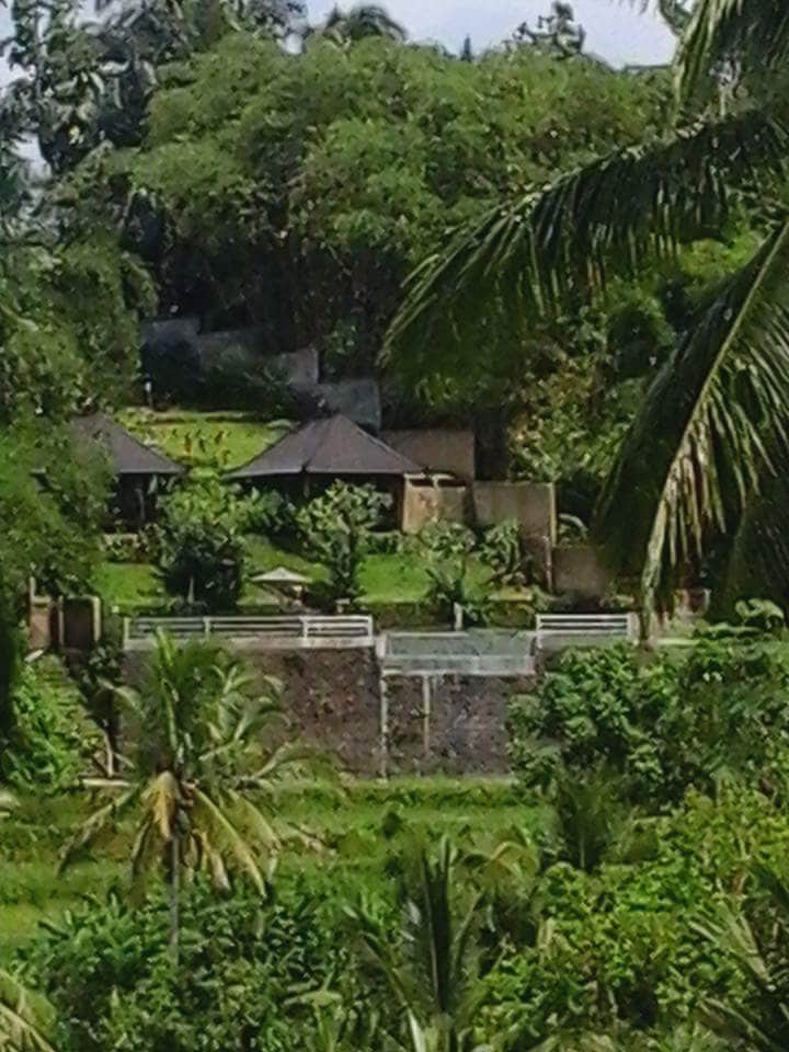 Villa Wedang Tea 33