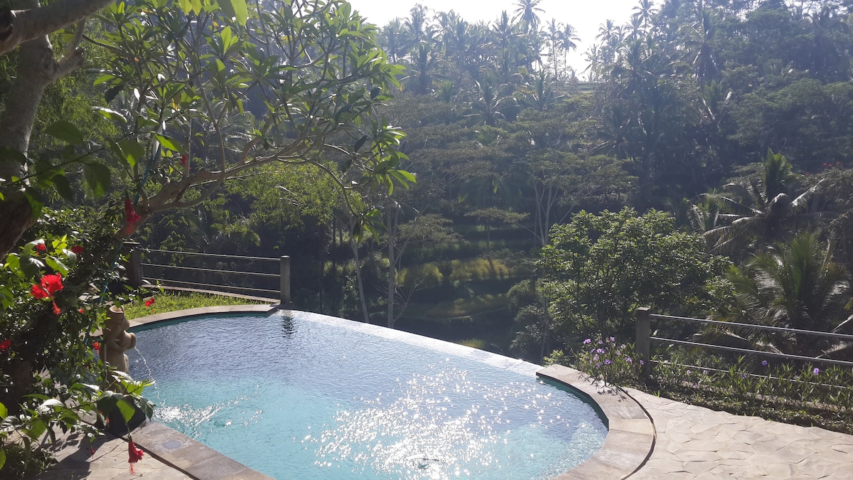 Villa Wedang Tea 38
