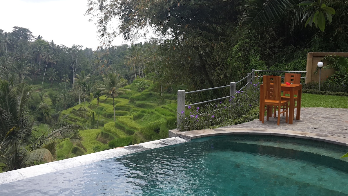 Villa Wedang Tea 41