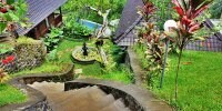 Villa Wedang Tea 50