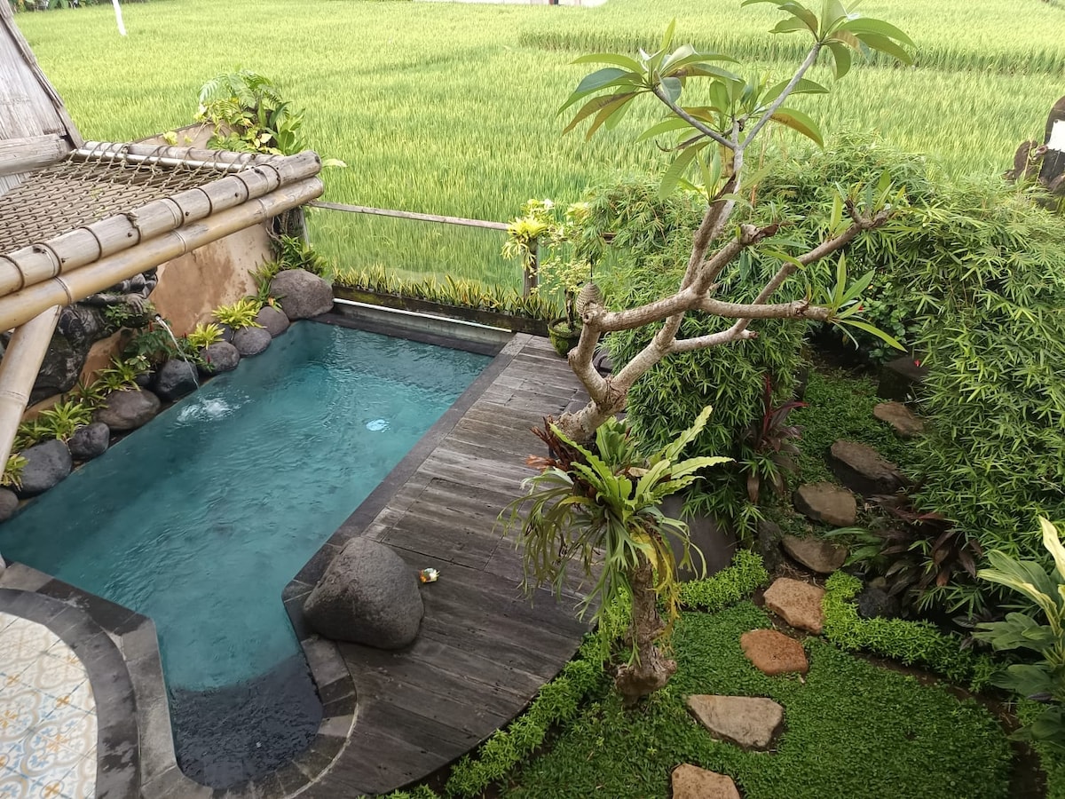 Luxury Villa Private Pool at Mas Ubud -Gesing Mas 37