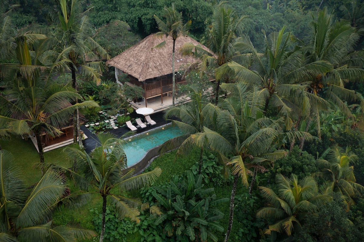 3BR Designer Villa w/ Panoramic Sayan Valley View 13