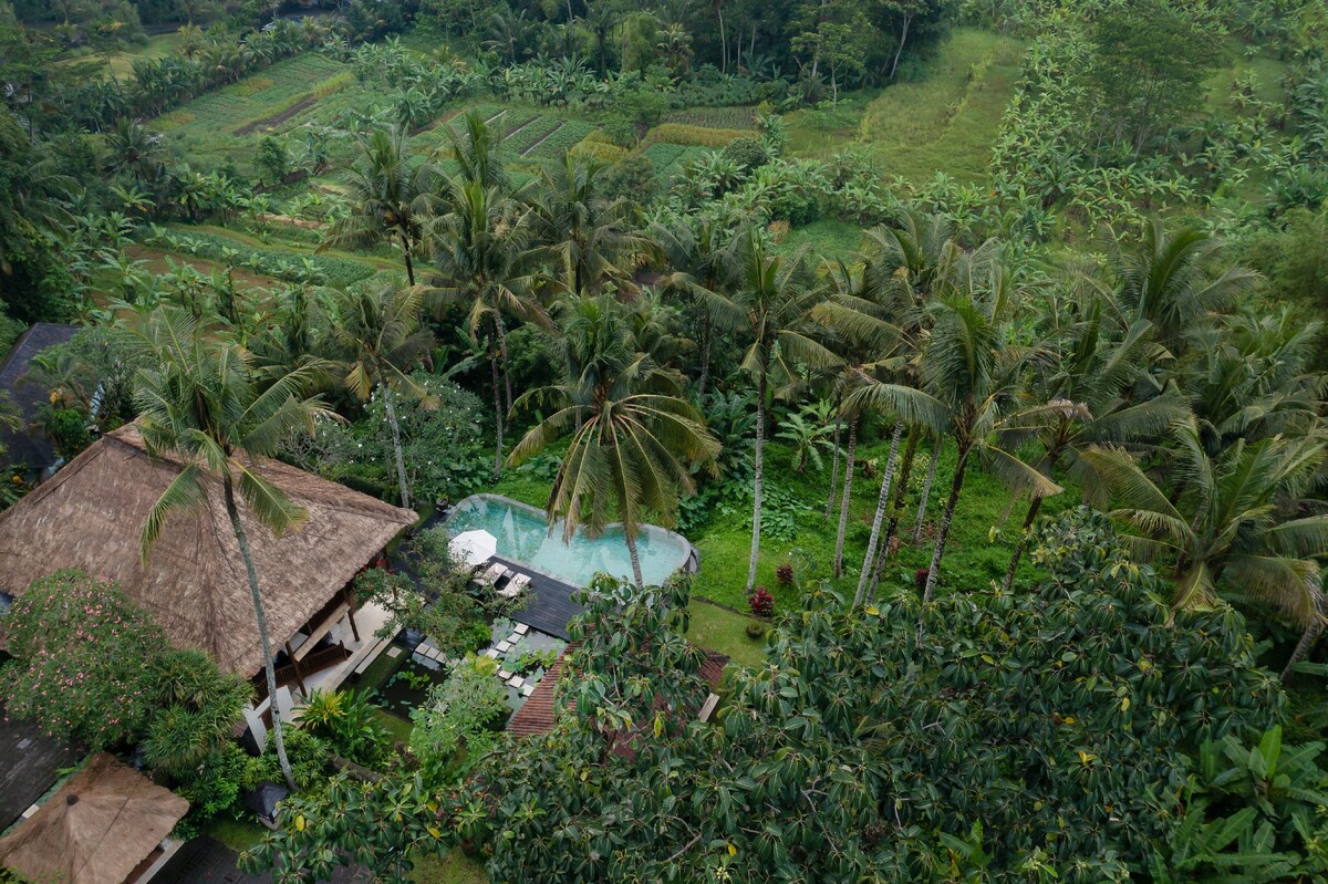 3BR Designer Villa w/ Panoramic Sayan Valley View 15