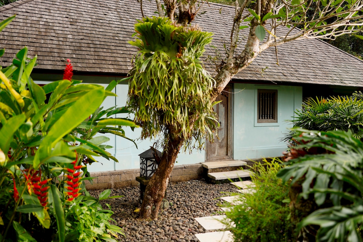 3BR Designer Villa w/ Panoramic Sayan Valley View 20