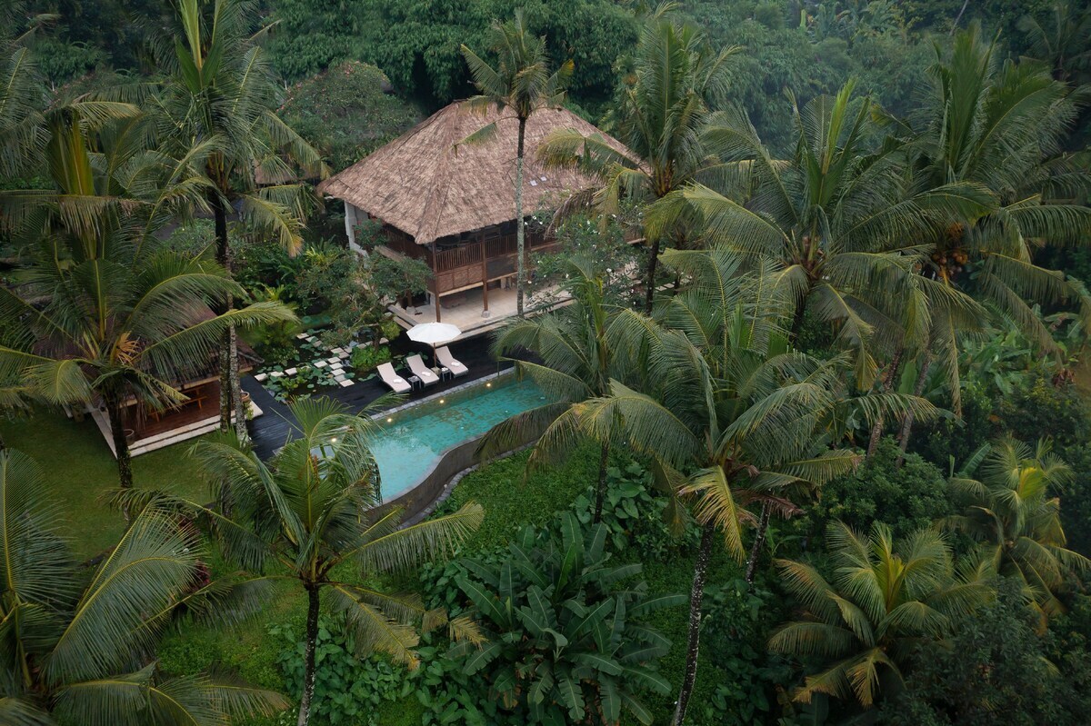 3BR Designer Villa w/ Panoramic Sayan Valley View 28