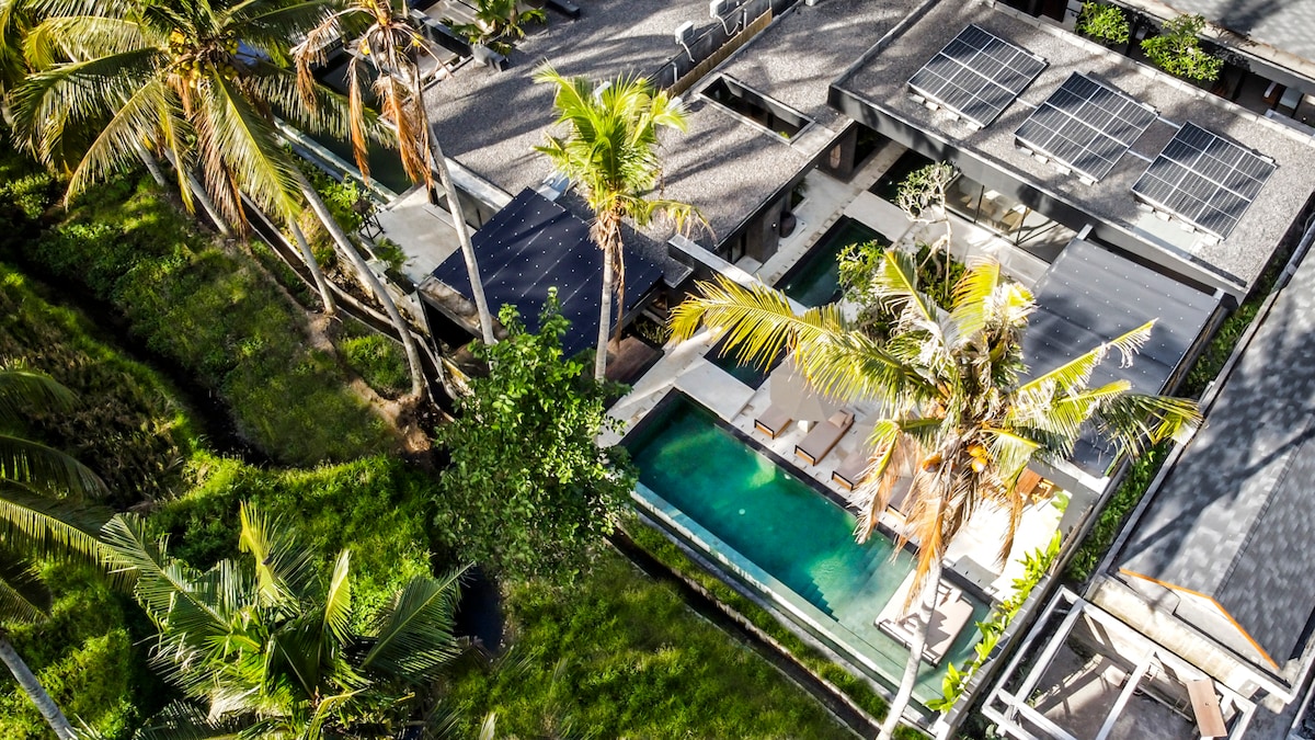 Palm Paradise 5BR Infinity Pool Villa Ubud Center 24