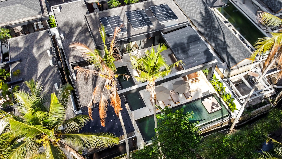 Palm Paradise 5BR Infinity Pool Villa Ubud Center 25
