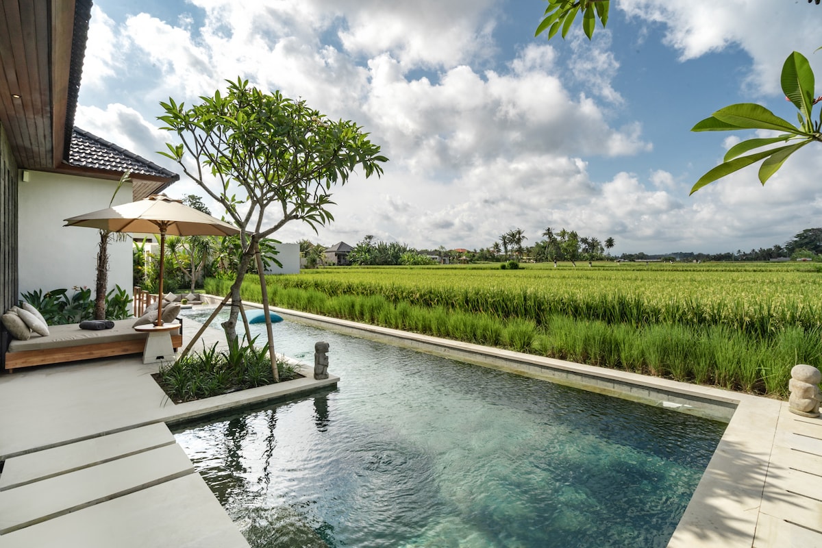 Villa Swannelli : 4BR with Pool & Rice Field Views 26